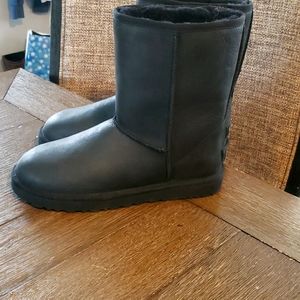 Ugg classic short